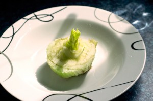 Regrowing Celery